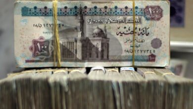 ارتفاع-العائد-ونمو-الائتمان-وتنويع-الإيرادات.-عوامل-تدعم-استمرار-صعود-أرباح-البنوك