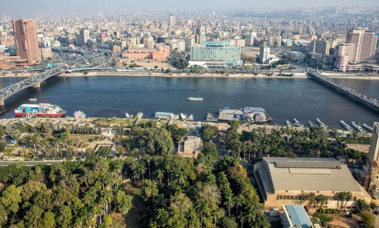 الحكومة-تبدأ-تنفيذ-خطة-“تخضير-القاهرة”-بتشجير-الطريق-الدائري